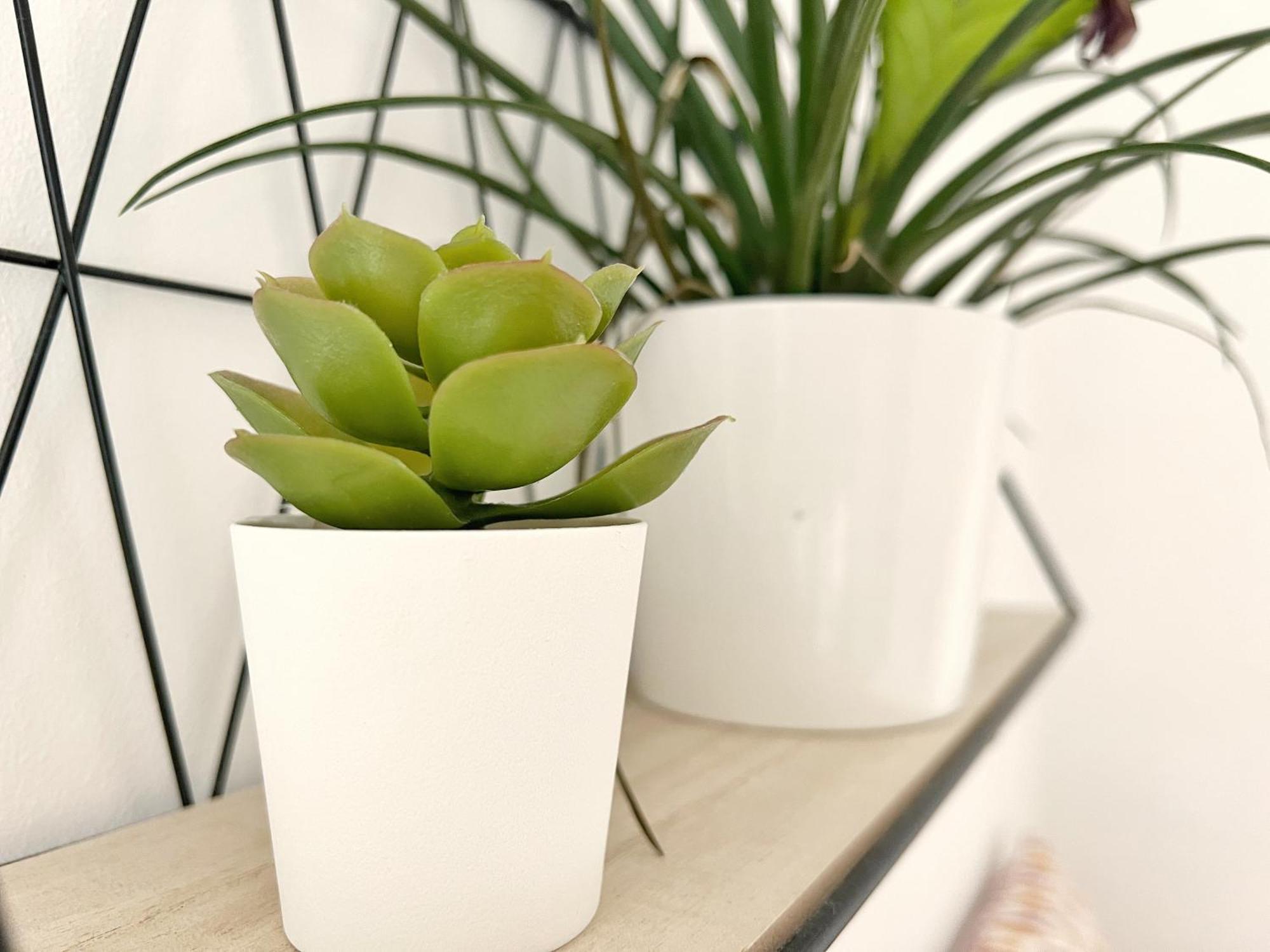 Appartement Le Viarm'Elite à Nantes Extérieur photo