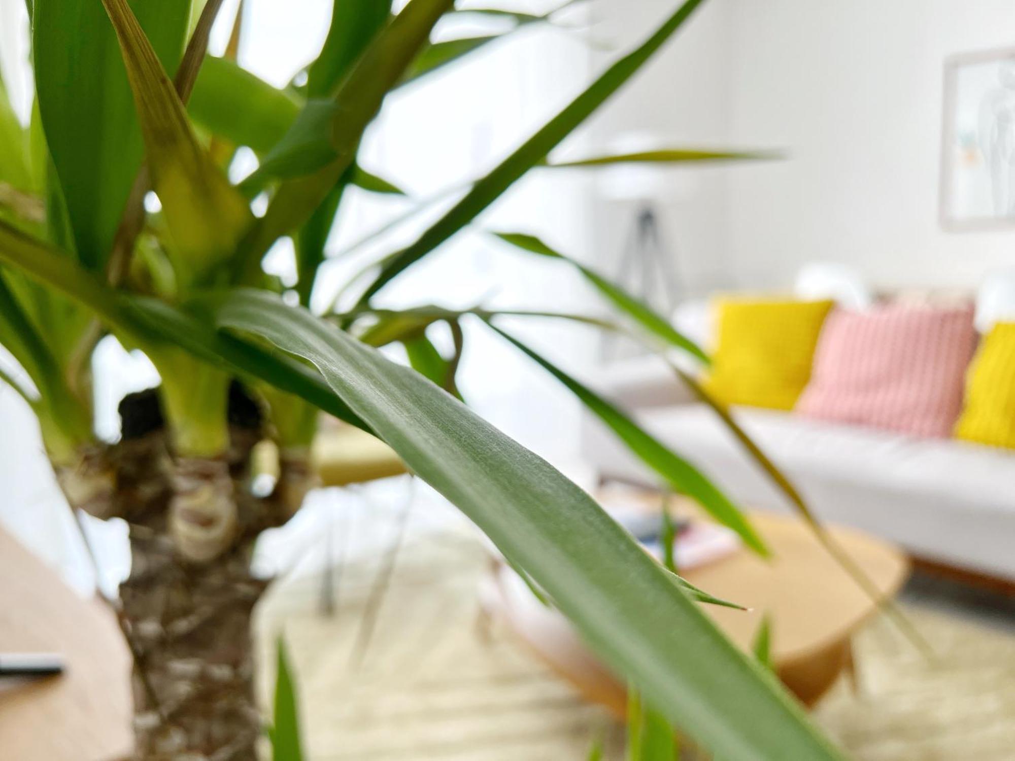 Appartement Le Viarm'Elite à Nantes Extérieur photo